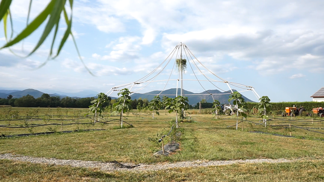 Cascina Felizia: Una Stella nel Progetto PREPSOIL e RE SOIL