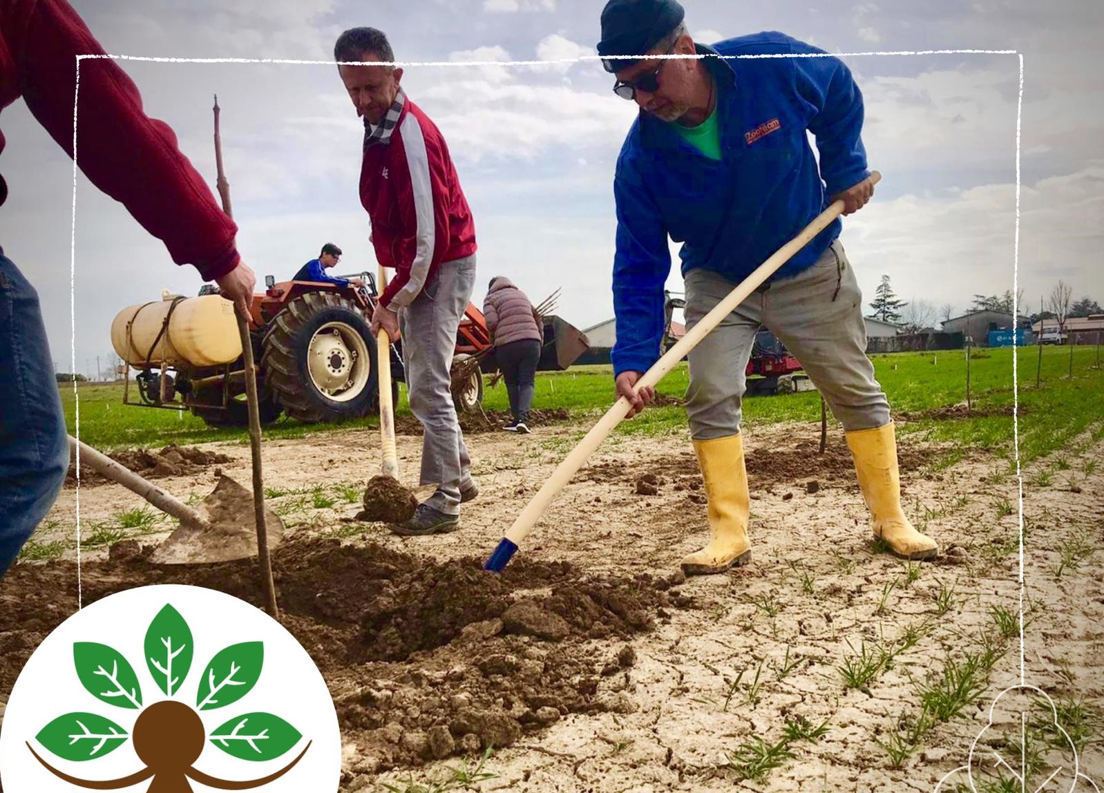 Cascina Felizia e Paulownia Piemonte: il modello vincente